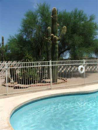 Cactus House Pool